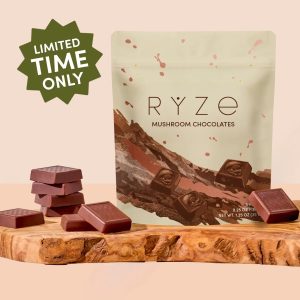 Mushroom Chocolates Rye (15 pieces)